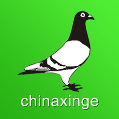 中国信鸽信息网官方app